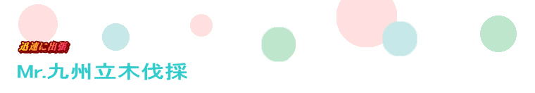 Mr.��B���ؔ���